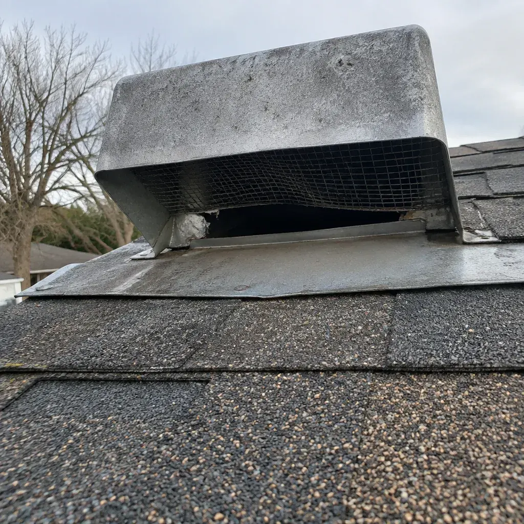 Rodent Trapping service in Kenosha, WI